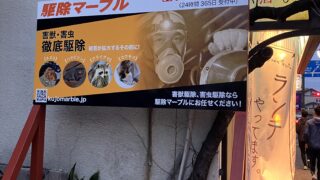 本日のお仕事 神奈川県綾瀬市 ネズミ調査