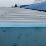 東京都羽村市アライグマ駆除 屋根に残されたアライグマの足跡