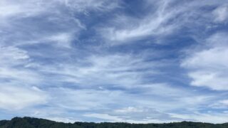 長野県東御市アライグマ駆除 現場屋根からの青空