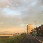 埼玉県三郷市アライグマ駆除 現場からの帰りに見た雨上がりの虹