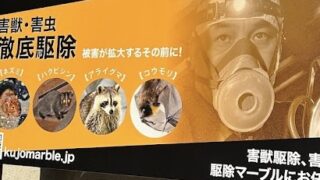 3周年  ありがとうございます!