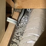 千葉県船橋市コウモリ駆除 天井裏で発見したコウモリの糞