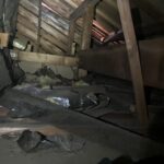 東京都杉並区ハクビシン駆除 ハクビシンに荒らされた天井裏