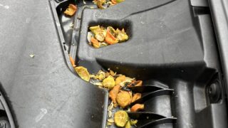 東京都杉並区ネズミ駆除 ネズミが侵入して食べかすだらけのボンネット