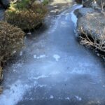 長野県茅野市ネズミ駆除 凍り付いた庭の池