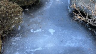 長野県茅野市ネズミ駆除 凍り付いた庭の池