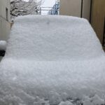東京都調布市ネズミ駆除 積雪で埋もれた車