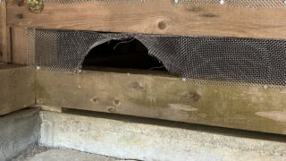 千葉県市原市アライグマ駆除 破壊された遮断用金網