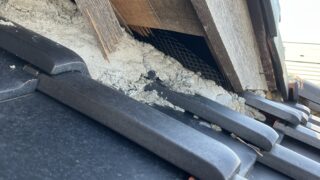 本日のお仕事  東京都武蔵野市 ハクビシン駆除