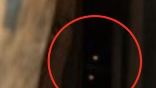 東京都町田市アライグマ駆除 カメラに映ったアライグマ