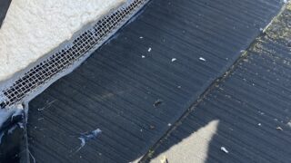 本日のお仕事  東京都八王子市 ネズミ駆除