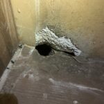 東京都武蔵野市ネズミ駆除 ネズミが開けた穴