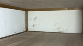 本日のお仕事　東京都三鷹市アライグマ駆除と大工工事